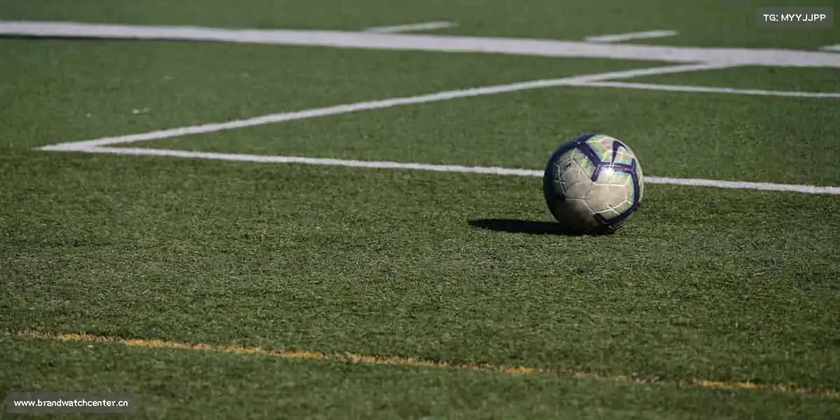 为什么选择我们